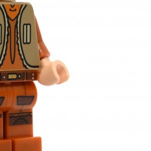 Ezra Bridger