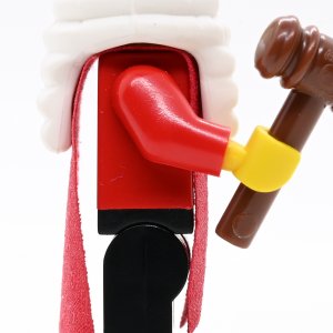 Judge