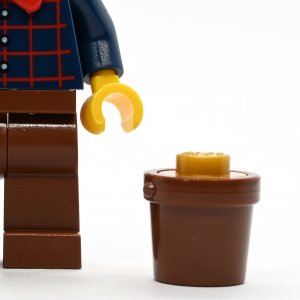 Gold Prospector
