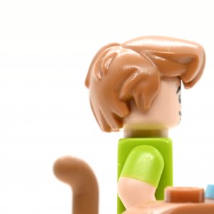 Shaggy Roggers & Scooby-Doo