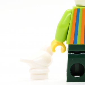 Bert