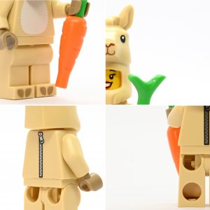Llama Costume Girl